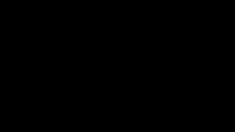 never_forget_this online show from 02-14-26, 02:41