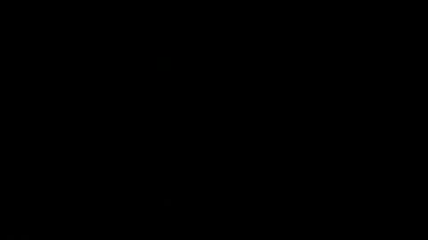 never_forget_this online show from 02-18-26, 05:42