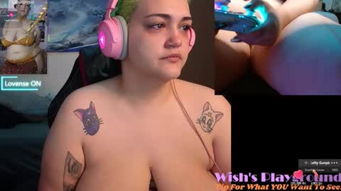 Snapshot of nevermakeawish chatting on 11-29-25, 07:17 Wishs Playground online show from 11-29-25, 07:17