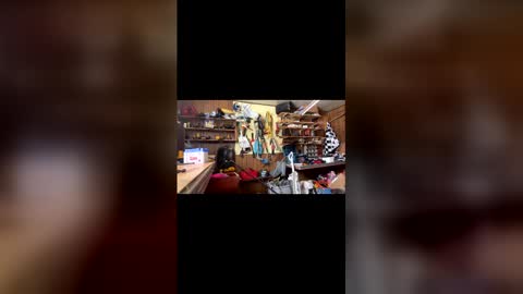 neversaynevrrr online show from 02-09-26, 07:18