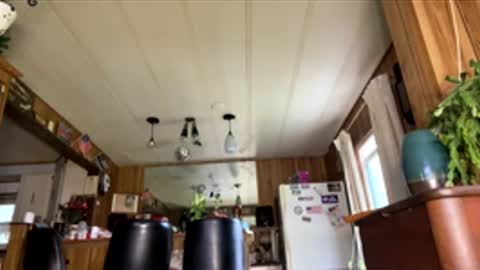 neversaynevrrr online show from 04-18-26, 07:51