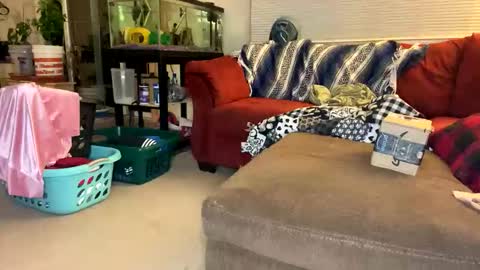 neverwinter44 online show from 04-23-26, 05:19