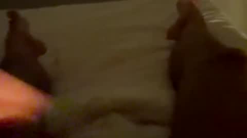 new25cam online show from 01-10-26, 03:52