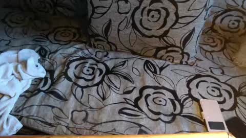 Lilly  online show from 04-08-26, 04:07