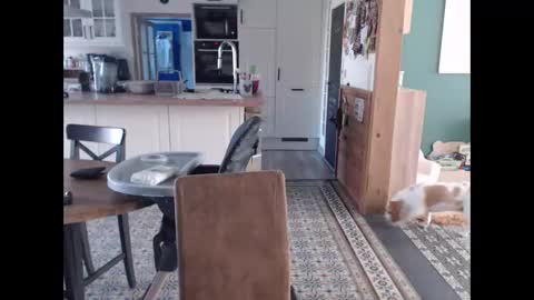 Newelixyr online show from 02-25-26, 11:31