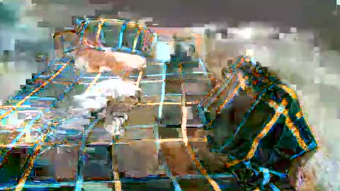 Snapshot of newest_star69 chatting on 01-07-25, 11:16 Lucy Pearl online show from 01-07-25, 11:16