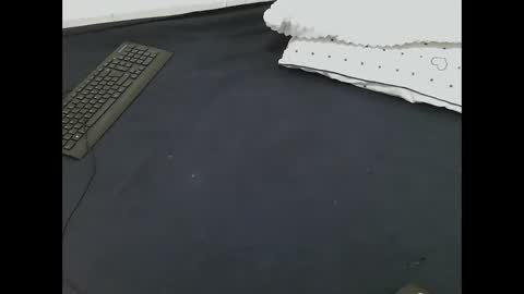 nia_0 online show from 03-16-26, 08:51