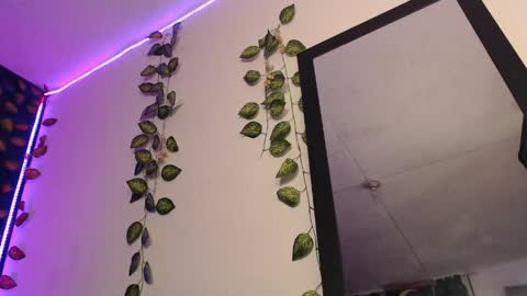  niakat  online show from 04-09-26, 01:49