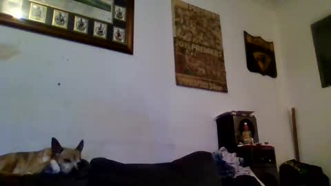 Snapshot of niceozziecockxxx chatting on 02-13-25, 10:00 Sexiishaine online show from 02-13-25, 10:00