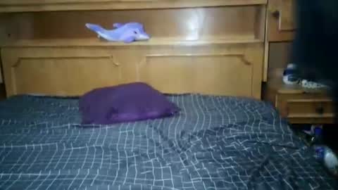 Nicholle online show from 07-18-26, 10:57