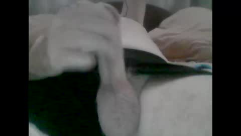 Snapshot of nickthefiddler chatting on 10-31-25, 05:19 TheCock online show from 10-31-25, 05:19