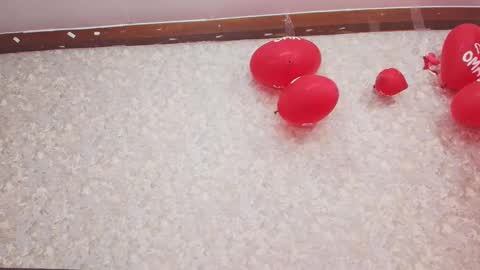 Nicol online show from 02-13-25, 07:42