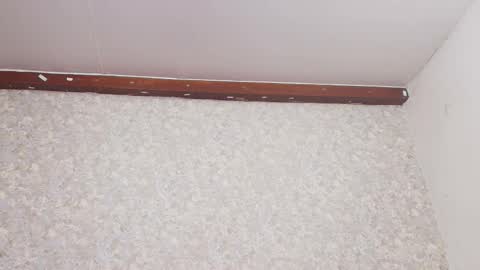 Nicol online show from 03-03-25, 07:17