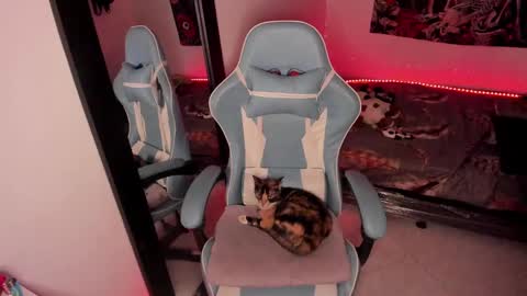 Nicol independent model online show from 01-14-25, 02:29