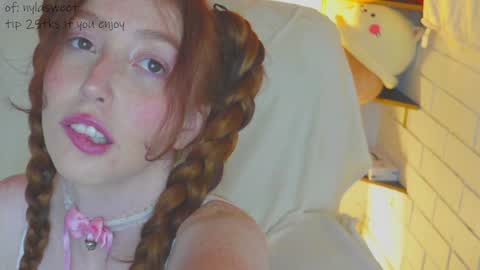 Snapshot of niilaa chatting on 12-31-24, 10:34 of Nylasweet online show from 12-31-24, 10:34