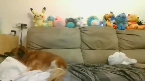 Brian and Logan Brogan online show from 04-17-26, 07:17