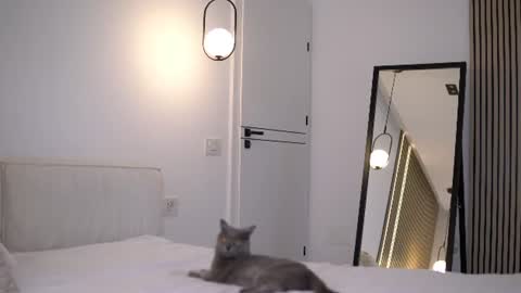 Nicole online show from 07-06-26, 06:43