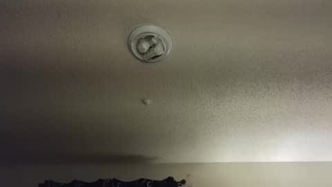 Nikki Mastersgirl1091 online show from 12-04-25, 02:15