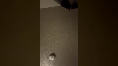 Snapshot of nikkitag93 chatting on 12-18-25, 07:58 nikkitag93 online show from 12-18-25, 07:58