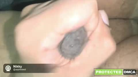 Snapshot of nikkynickpussylover chatting on 12-16-25, 02:49 NikkynickGooner online show from 12-16-25, 02:49