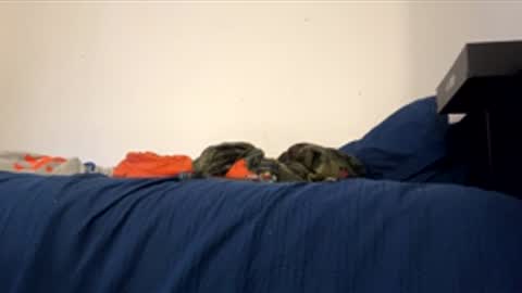 nikogigiii online show from 01-17-26, 04:28