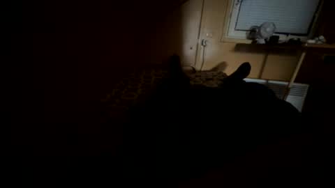 Nikk online show from 09-20-25, 08:37