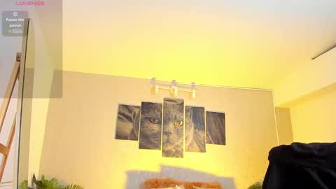 Nils online show from 02-07-26, 04:49