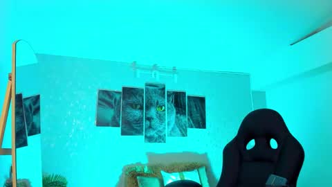 Nils online show from 02-20-26, 06:48