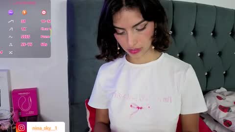 Snapshot of ninasky19 chatting on 11-14-25, 12:31 ninasky19 online show from 11-14-25, 12:31