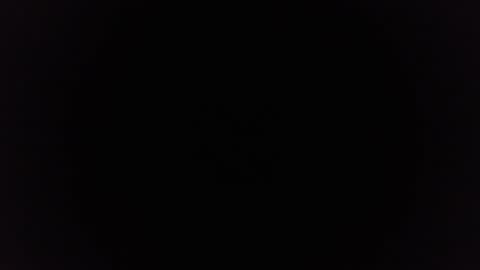 Ninjadance online show from 12-29-24, 11:29