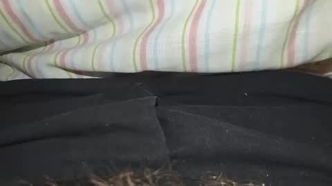 Snapshot of niterider22 chatting on 03-14-26, 01:23 niterider22 online show from 03-14-26, 01:23