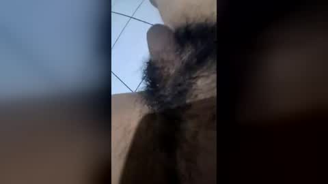 nnndft online show from 07-21-26, 07:16