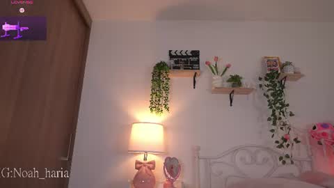 Snapshot of noah__23 chatting on 06-20-26, 11:07 noah__23 online show from 06-20-26, 11:07