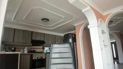  In instagram dayhannanoemi online show from 02-28-25, 01:25