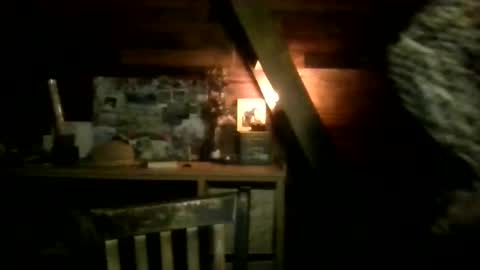 Nola online show from 03-13-26, 02:40