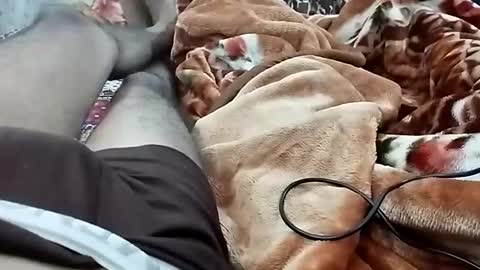 sim  nib online show from 12-03-24, 07:11