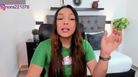 Snapshot of nora22xx chatting on 02-20-25, 02:29 Nora online show from 02-20-25, 02:29