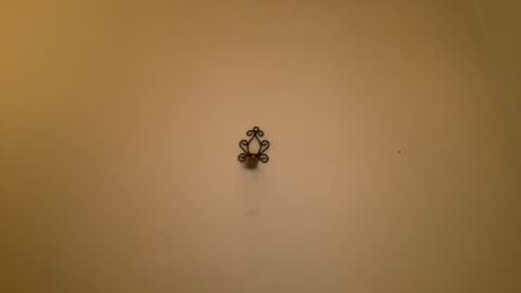 noscandal online show from 02-21-25, 12:16