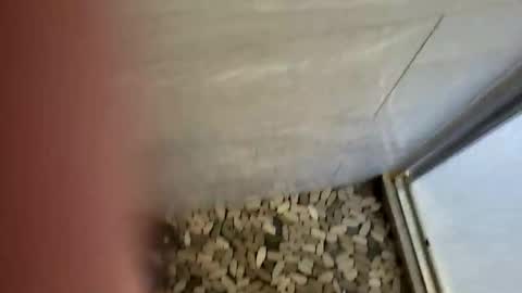 notme710 online show from 12-22-25, 05:32