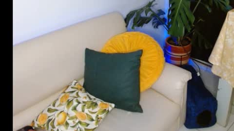 Snapshot of novaperotti chatting on 10-08-25, 11:35 novaperotti online show from 10-08-25, 11:35