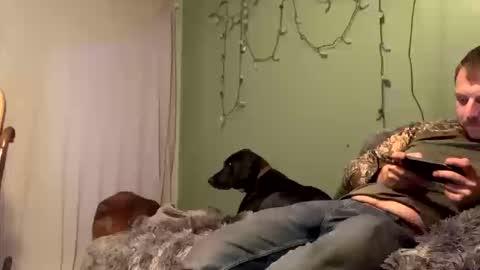 nsy57528 online show from 10-19-25, 12:00