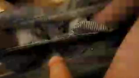 nu8bar1 online show from 08-04-26, 12:58