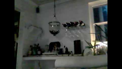 Haky online show from 12-07-24, 07:16