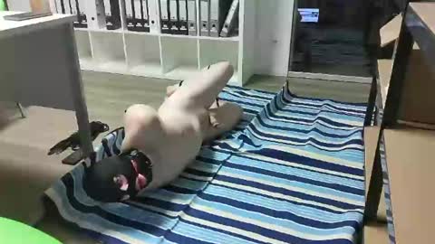 Slave for Mistress and Master online show from 02-18-25, 11:33