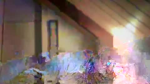 nurod online show from 12-29-24, 04:40