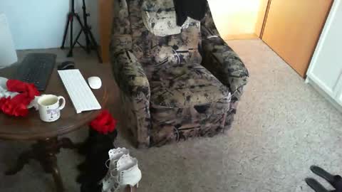 Strumpfhose online show from 04-16-26, 07:31