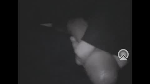 Snapshot of nympham chatting on 04-04-26, 07:06 nympham online show from 04-04-26, 07:06