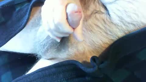 o269x2 online show from 02-13-25, 06:38