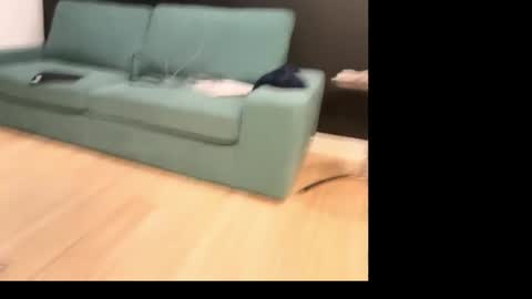 obedienttonylonmistress online show from 06-10-26, 08:52