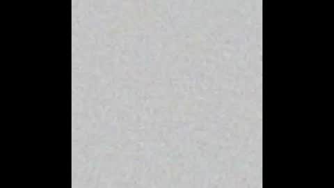 Obsidian stallion online show from 02-09-26, 08:07